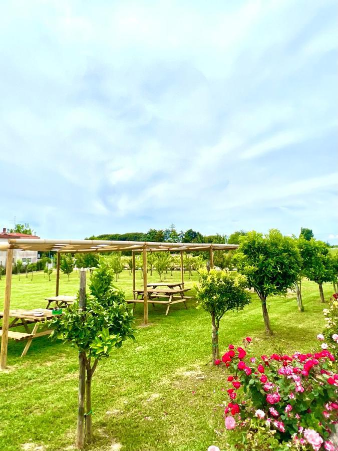 Cento Giorni Costa Paestum Bed & Breakfast