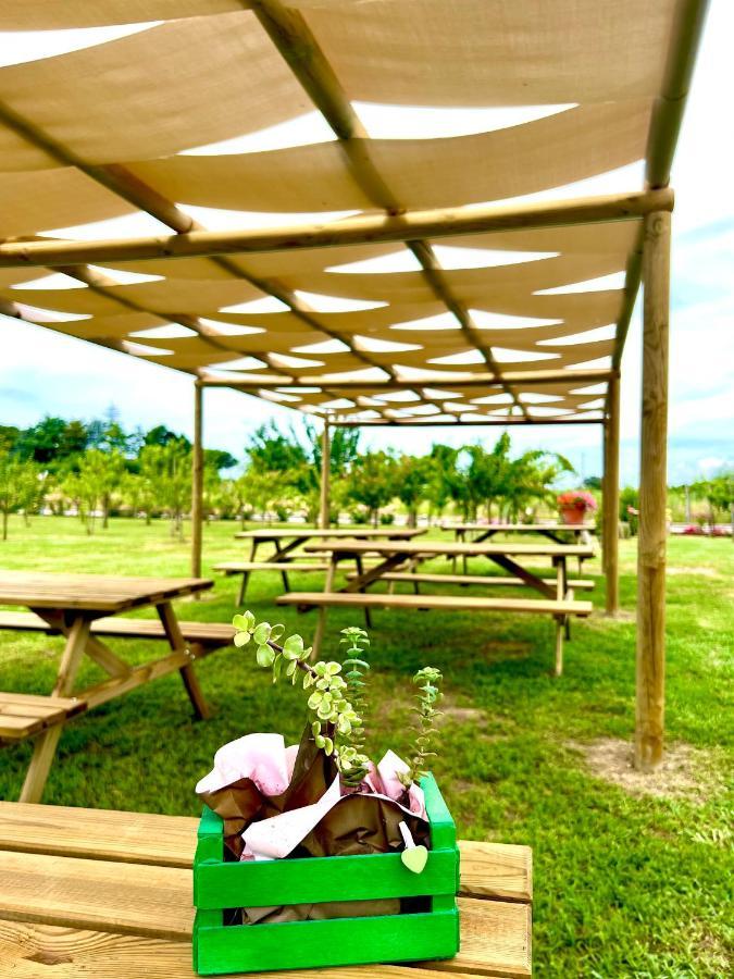 Bed & Breakfast Cento Giorni Costa Paestum