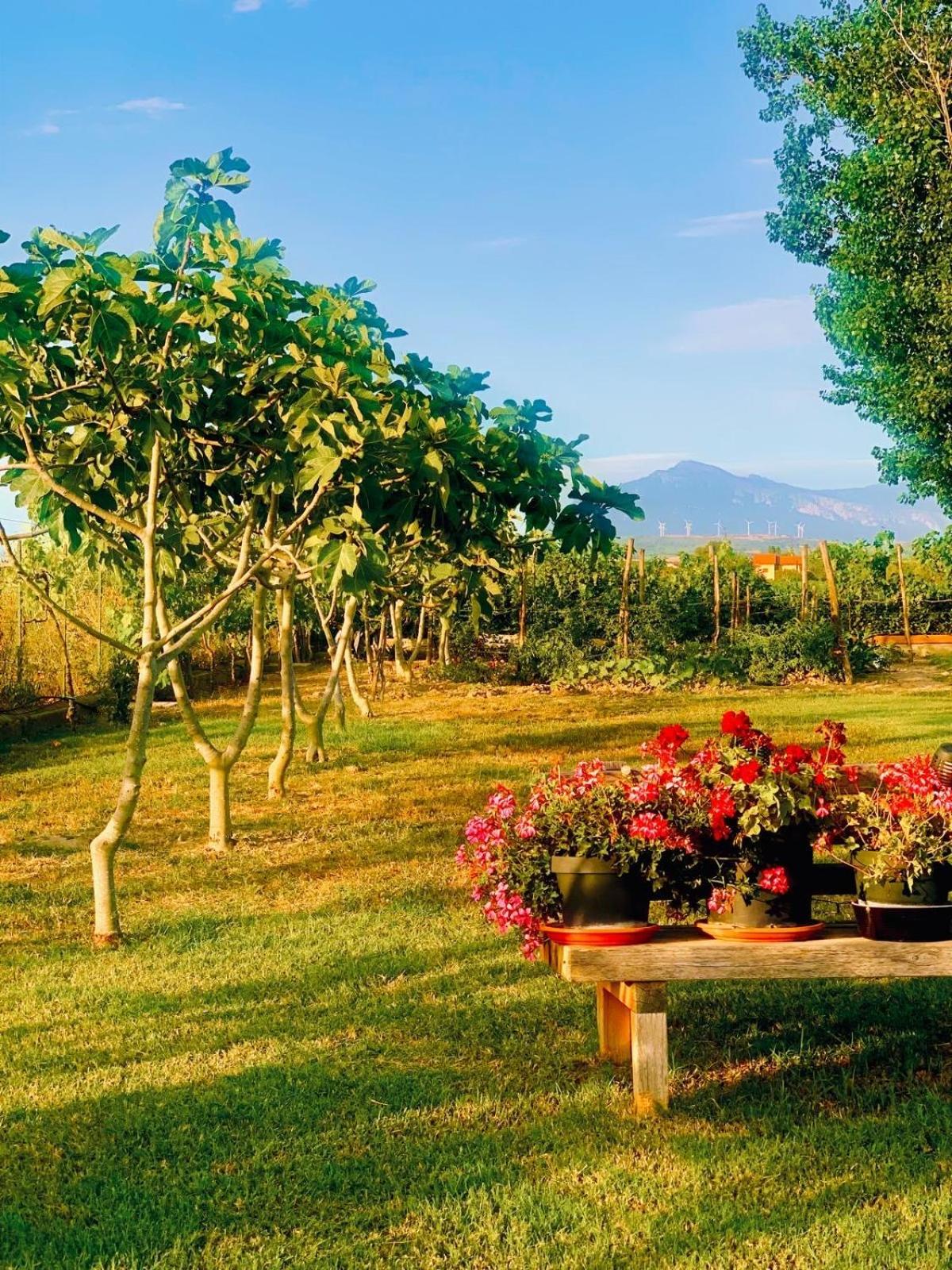 Cento Giorni Costa Paestum Bed & Breakfast Capaccio
